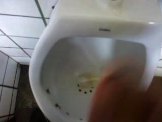 Sacanagem No Banheiro Publico